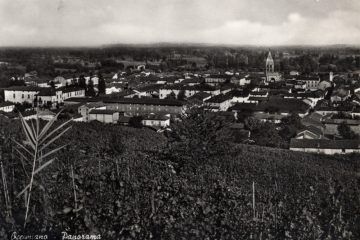 Occimiano - Panorama