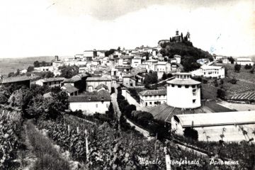 Vignale Monferrato - Panorama