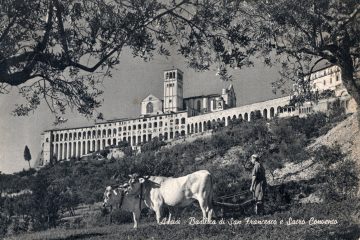 Assisi - Basilica di San Francesco