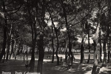 Pescara - Pineta Dannunziana