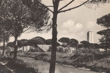Cervia - Milano Marittima - Pineta e Grattacielo Cervia - Milano Marittima - Pineta e Grattacielo