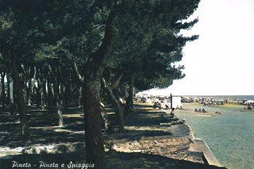 Pineto - Pineta e spiaggia