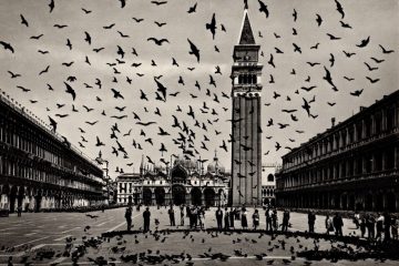 Venezia - Piazza - S. Marco (2)