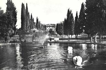 Vetralla -  Giardini pubblici